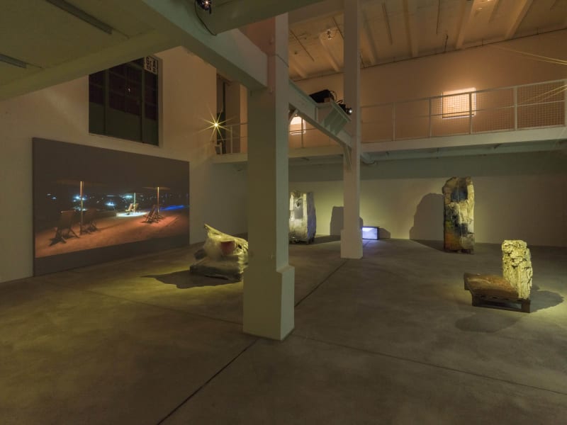 Gregor Schneider, Homeless