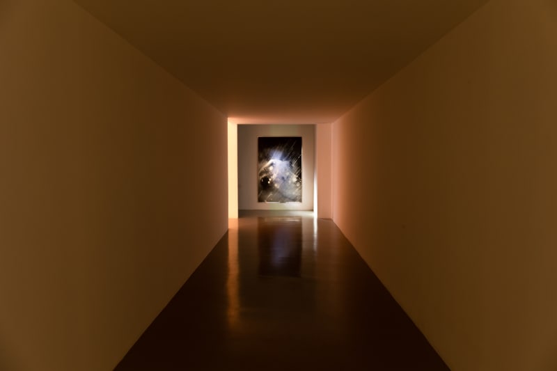 BÊTES ÉTERNELLES, Harit Srikhao