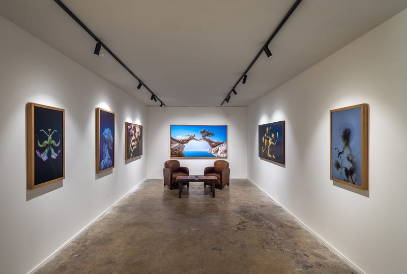 WINDOWS OF HOPE, Roy Adin’s Solo Show