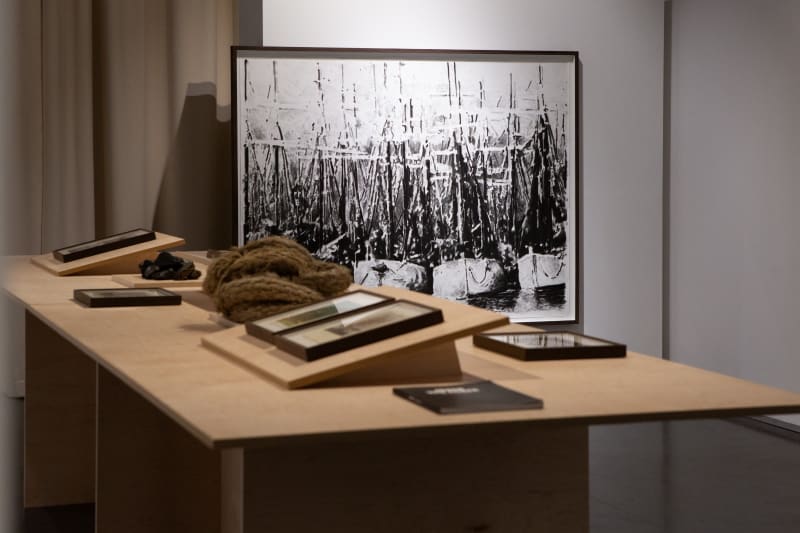 JOREN VAN ACKER - THE SIGHT THAT I DEPEND ON