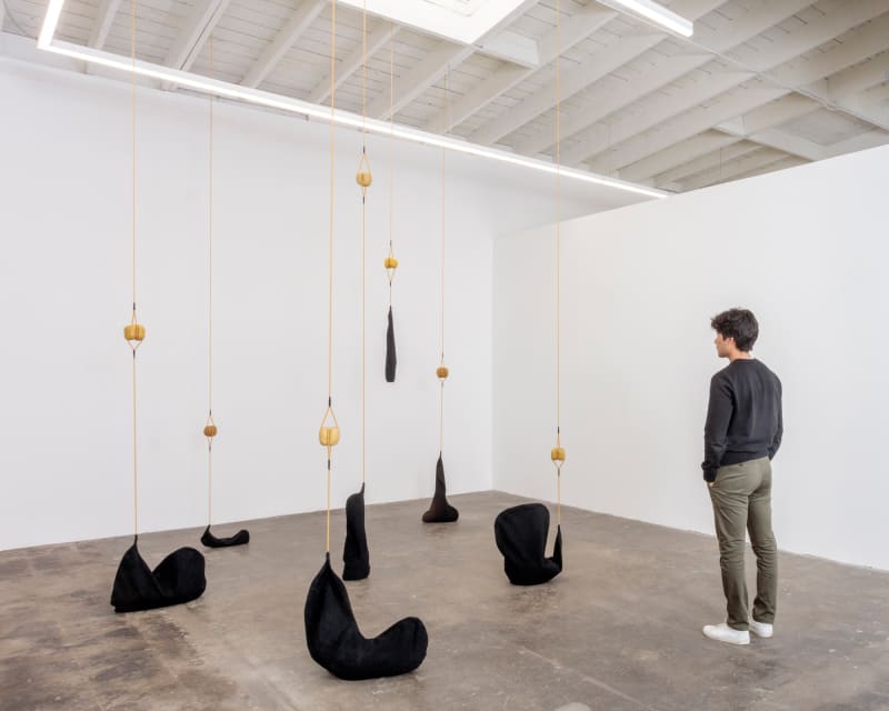 Daniel Silva, “Wax and Guts“, 2018 | Photo Joshua White