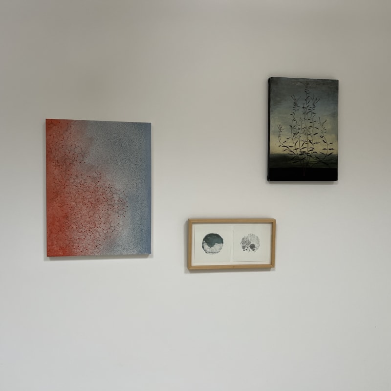 Curating from the collection: Joining Forces in Conversation, Ballycastle, The Ballinglen Museum of Art