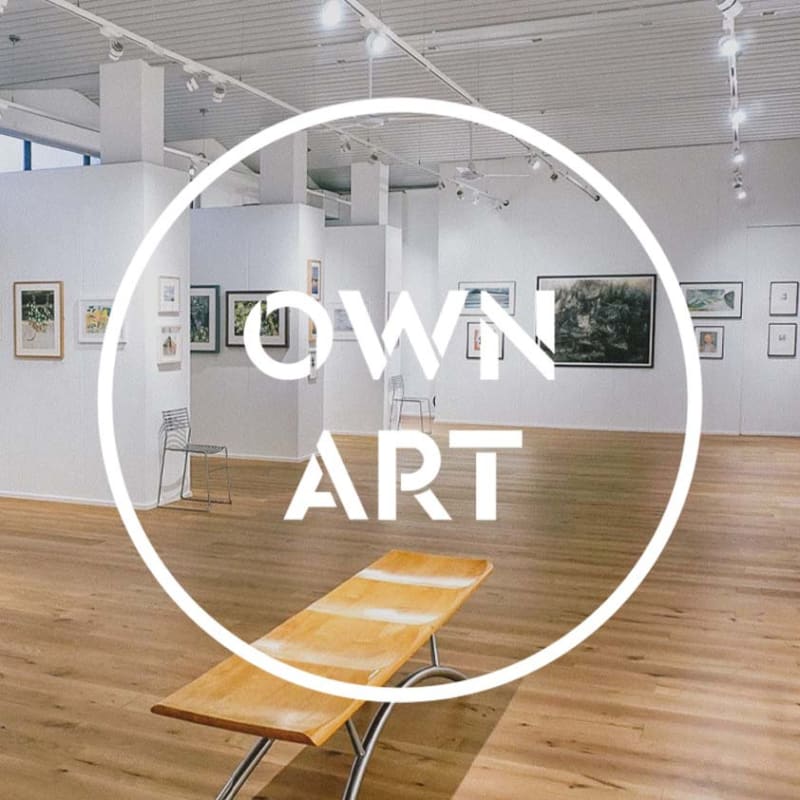 What is the Own Art Scheme?