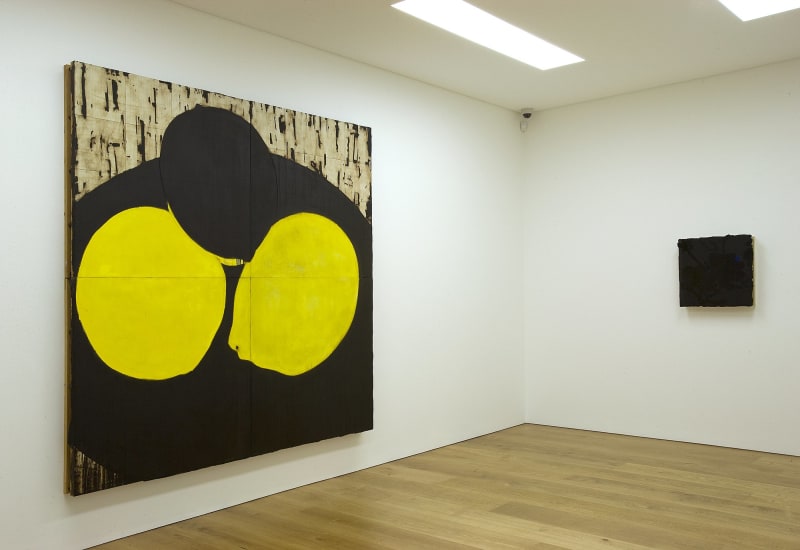 唐纳德 • 苏尔坦