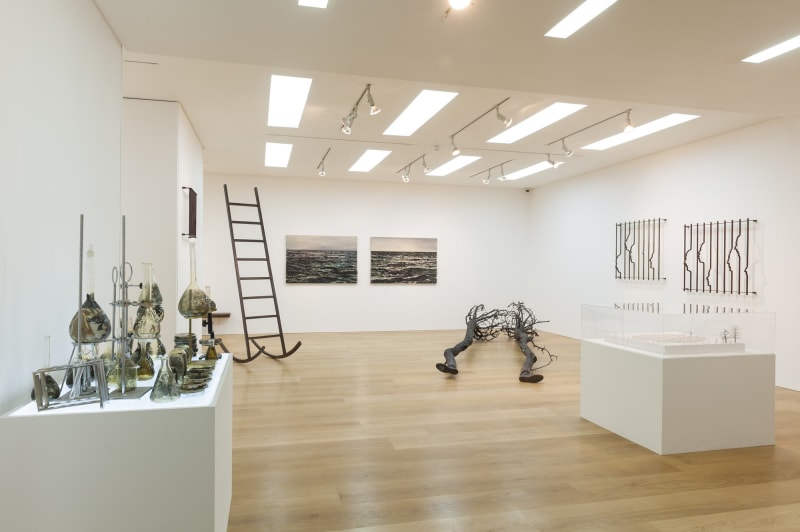 YOAN CAPOTE, Emotional Objects