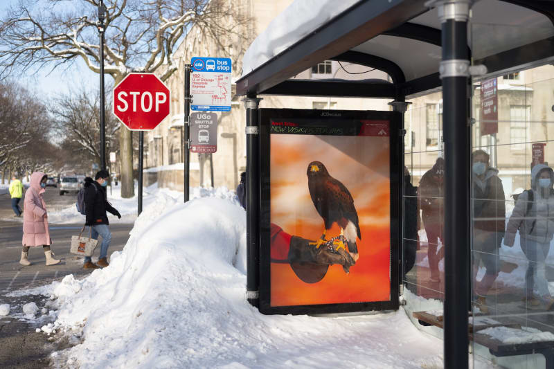 Awol Erizku photograph on a JCD bus shelter