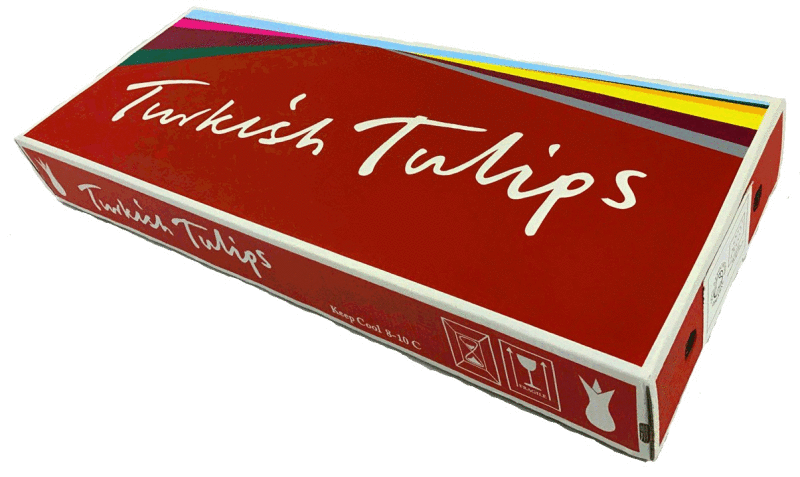 GAVIN TURK in 'Turkish Tulips'
