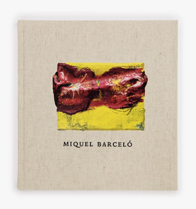 Miquel Barceló