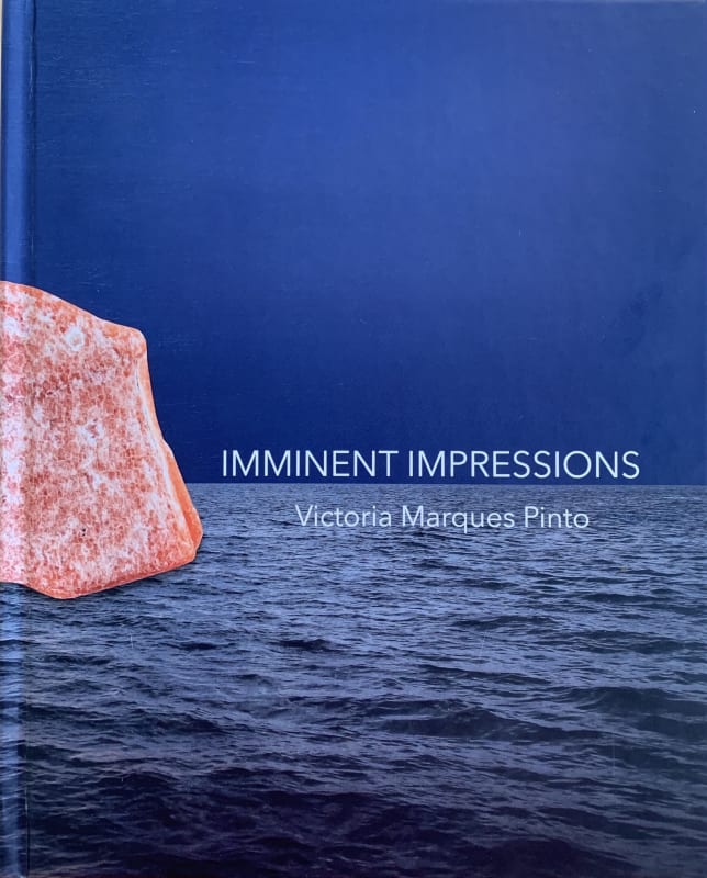 Imminent Impressions, Victoria Marques Pinto