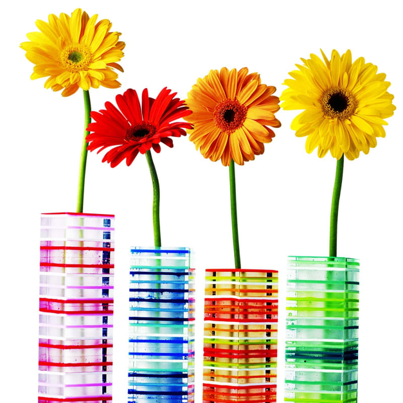 PHUZE, Orfeo Quagliata