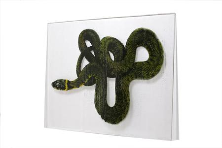 Pamela Ellgen reviews Constructions (Asian Reporter)