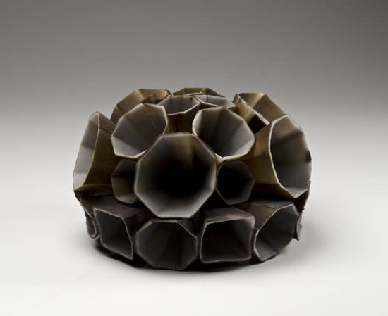 Anna Mlasowsky, AACG Artist of the Month