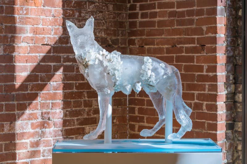 Emily Endo She-Wolf, 2019