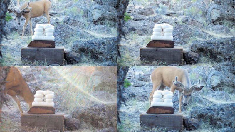 Malia Jensen, Worth Your Salt, 2020, HD video, color, sound, 360 minutes.