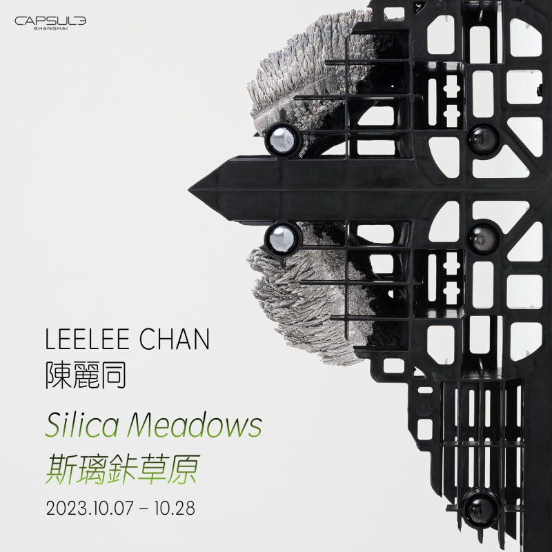 Leelee Chan: Silica Meadows