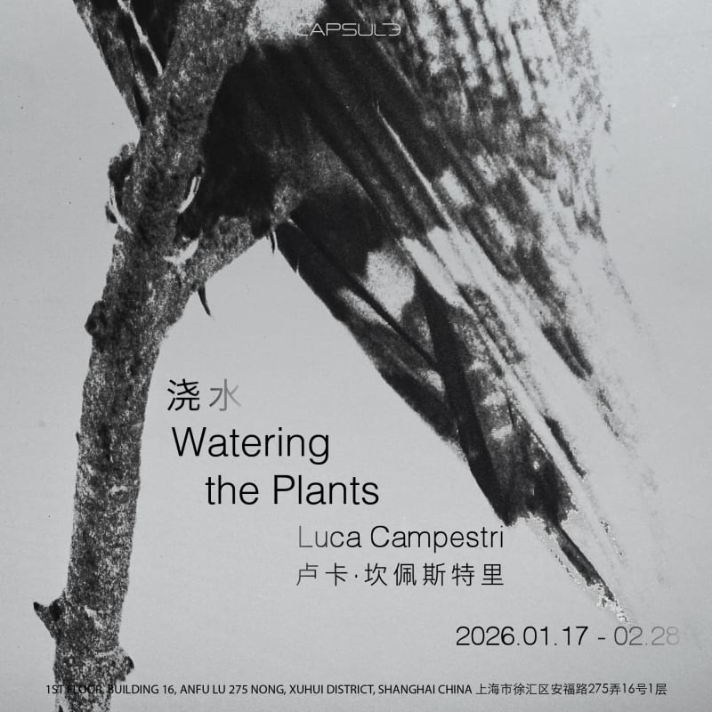 Luca Campestri: Watering the Plants, Shanghai