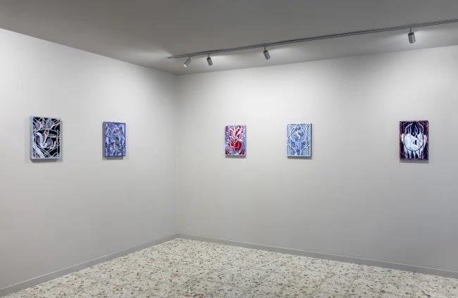 An installation view of “Mevlana Lipp: Vista” at Capsule Venice, 2024.
