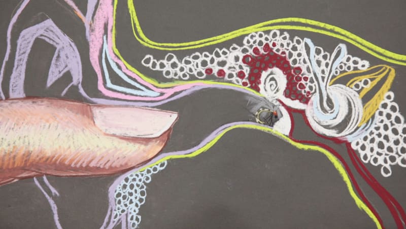 Wang Haiyang 王海洋 | "The Birth of the Word, to the Demise of the Bird"《从一本书开始到一只死鸟结束》, 2014-2018 | single-channel video 单频道录像 | 1'32''