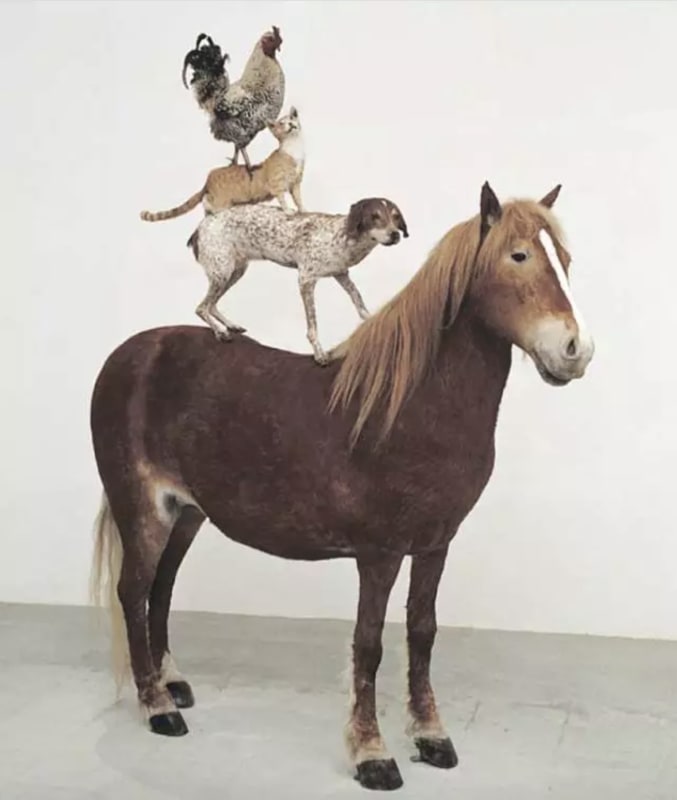 Katarzyna Kozyra 卡塔姿娜·科兹拉, Pyramid of Animals《动物金字塔》, 1993, life size sculpture of four taxidermy animals | 四件与实物等大的动物标本雕塑，220 x 190 x 120...