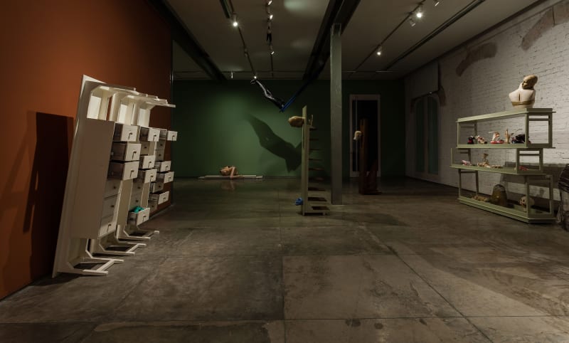 Vivan Sundaram Postmortem (After Gagawaka), display view, 2014-2015