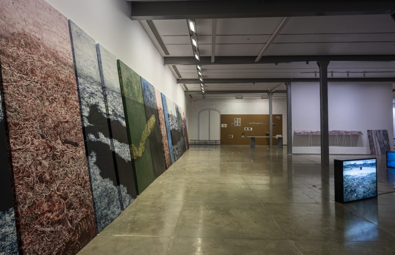 DRAWING NEAR, Mohit Shelare