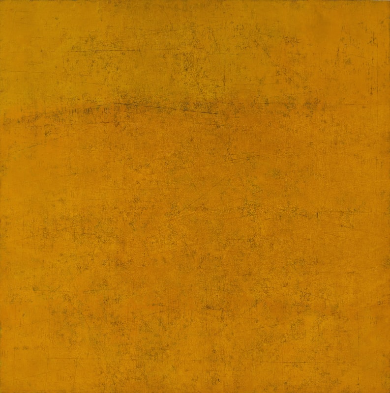 new canvases, Sheetal Gattani