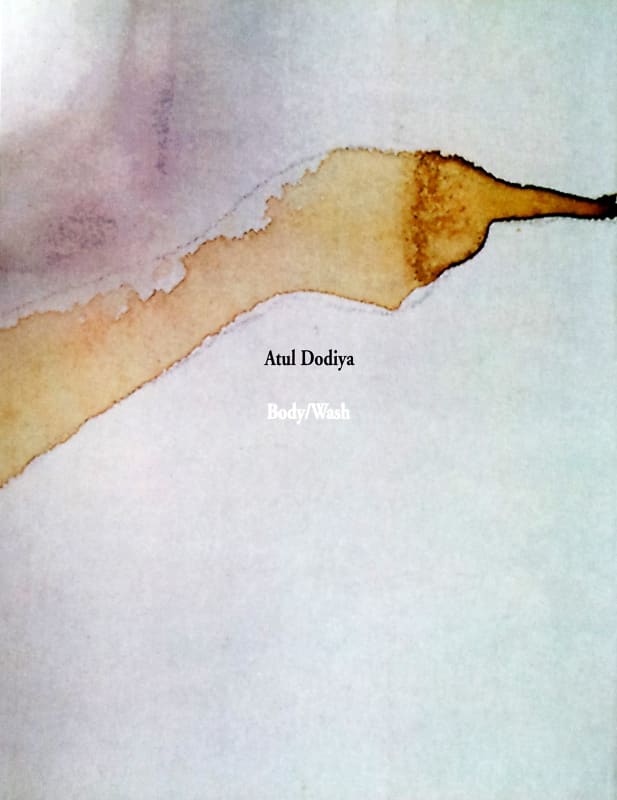 Body/Wash, Atul Dodiya