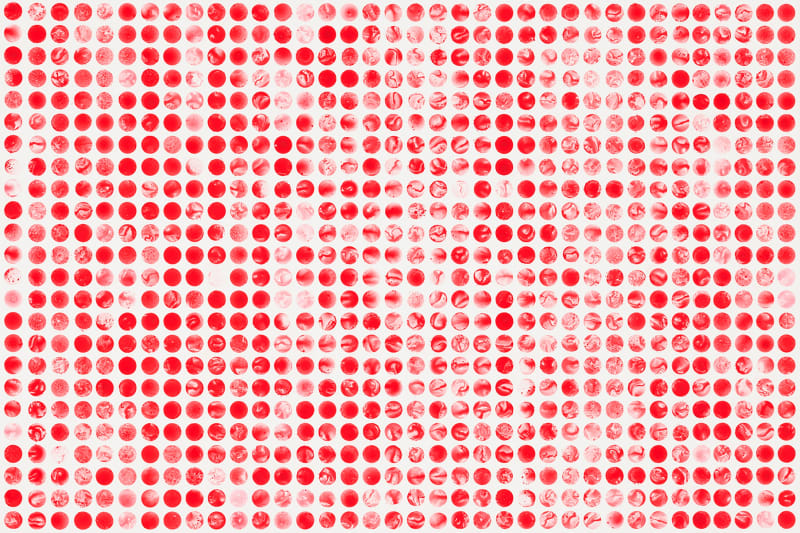 TAIPEI DANDAI, Mio Yamato