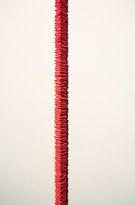 振動する領域, 坪田昌之 個展