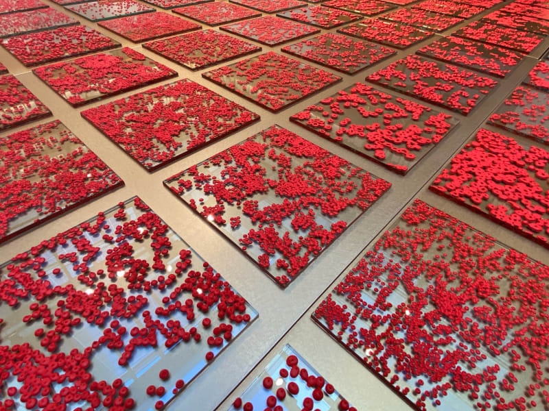 銀座蔦屋書店「Up_01」