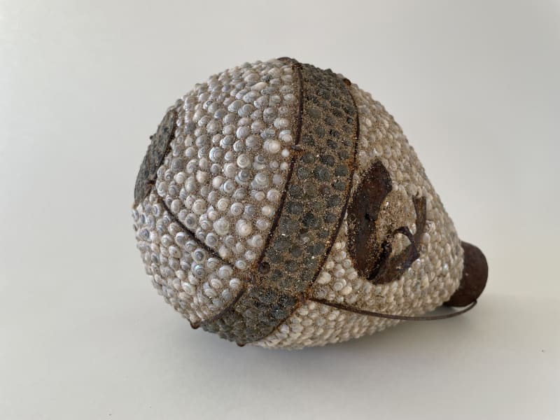 Carolyn Brookes-Davies