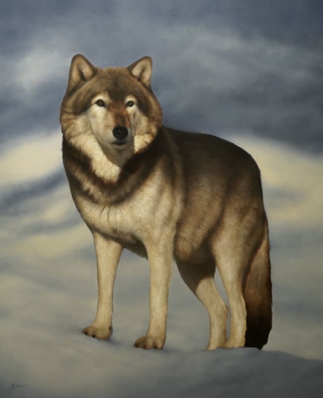 CANIS LUPUS, ARTIST RECEPTION - George Hill