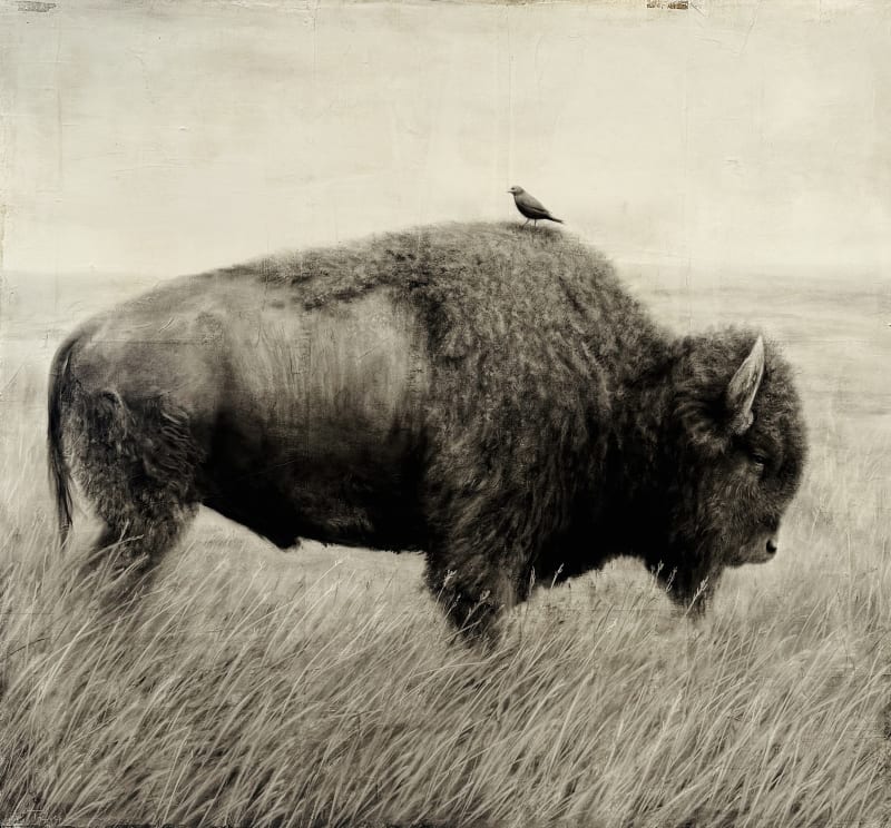 VISIONS OF THE WEST, Artist Reception - KENNETH PELOKE