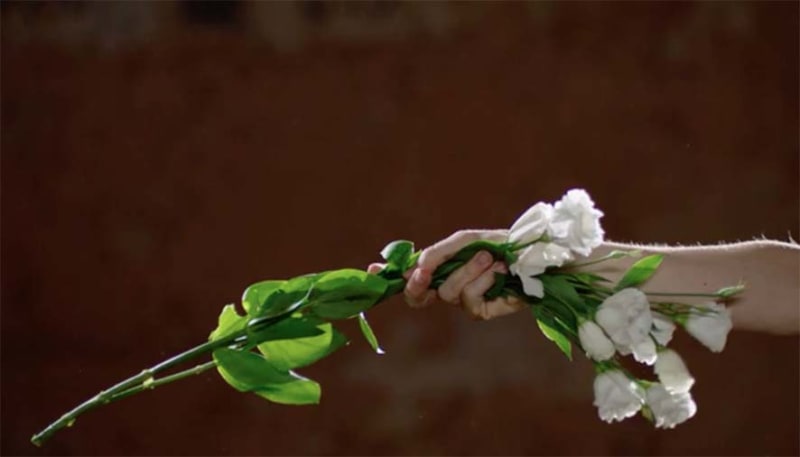 Ursula Biemann, Janet Biggs, Elena Kovylina , Malinowska & Jasper, Shannon Plumb , Fucking Beautiful