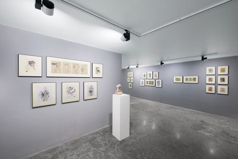 Maryam Karimian Shirazi | 'Simorgh', Dastan's Basement