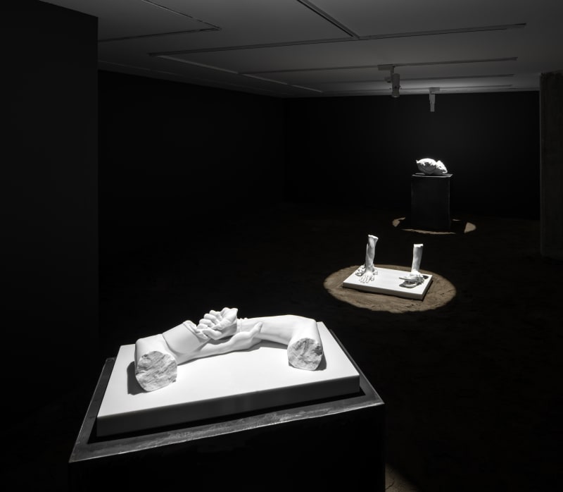 Reza Aramesh | 'To Be Made Flesh Again After James Baldwin', Dastan's Basement