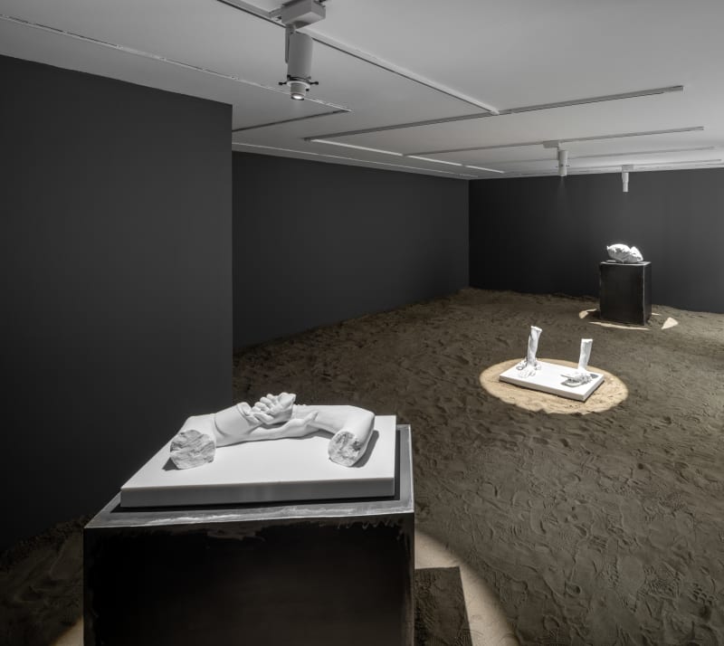 Reza Aramesh | 'To Be Made Flesh Again After James Baldwin', Dastan's Basement