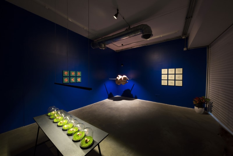 Azadeh Ramezani Tabrizi | 'Free Range', Electric Room 22/50