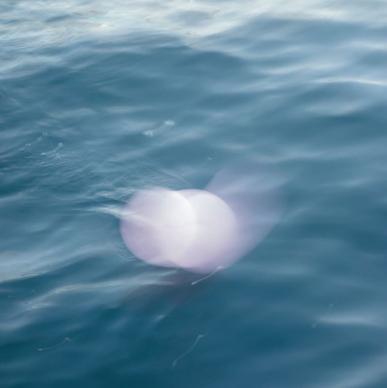 THE ARTIST'S ARTIST Twenty-three artists reflect on 2021