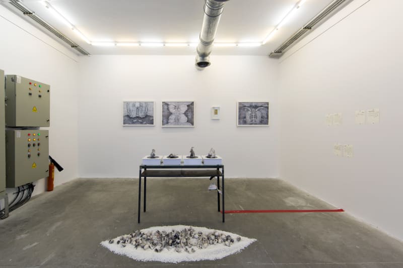 Installation View. Behnaz Fatemi. Residue. Electric Room 08/50. a Dastan:Outside project.