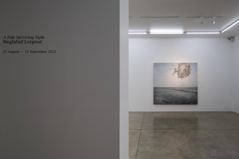 Installation View of A Pale Surviving Sight, at 009821 Projects