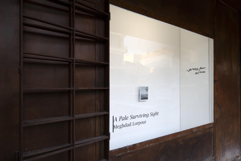 Installation View of A Pale Surviving Sight, at 009821 Projects