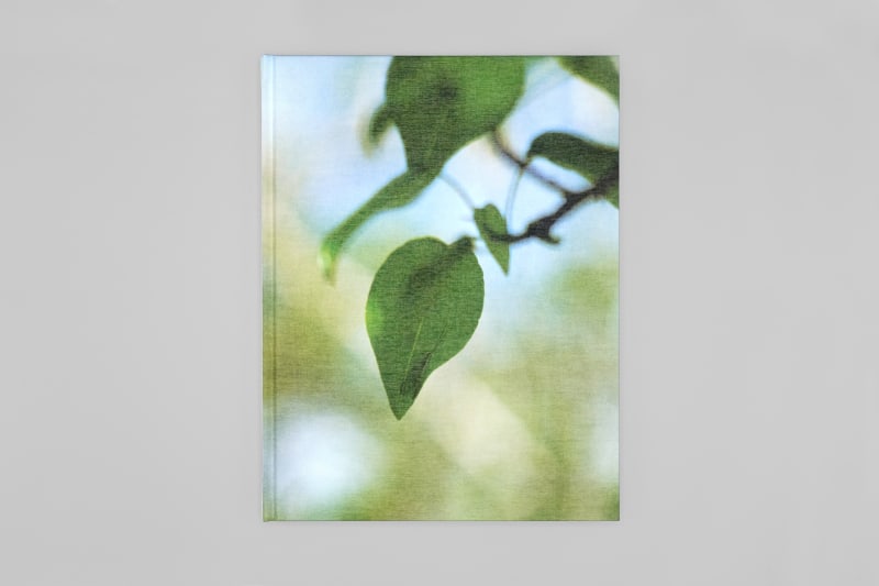 David Hartt: The Histories