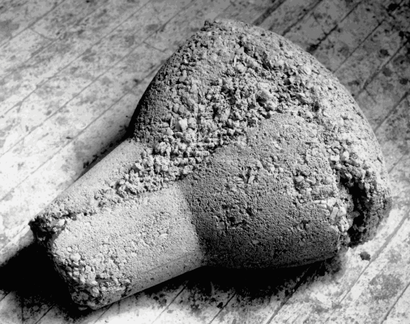 Elizabeth Lee Wilkinson