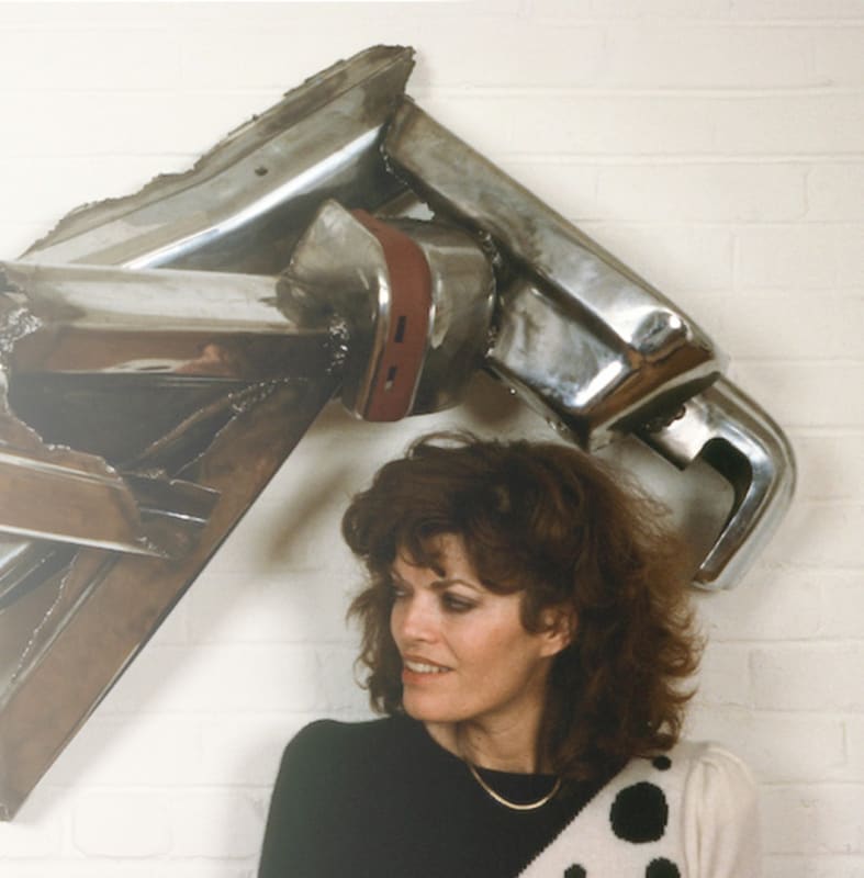 THE ART OF DINA WIND