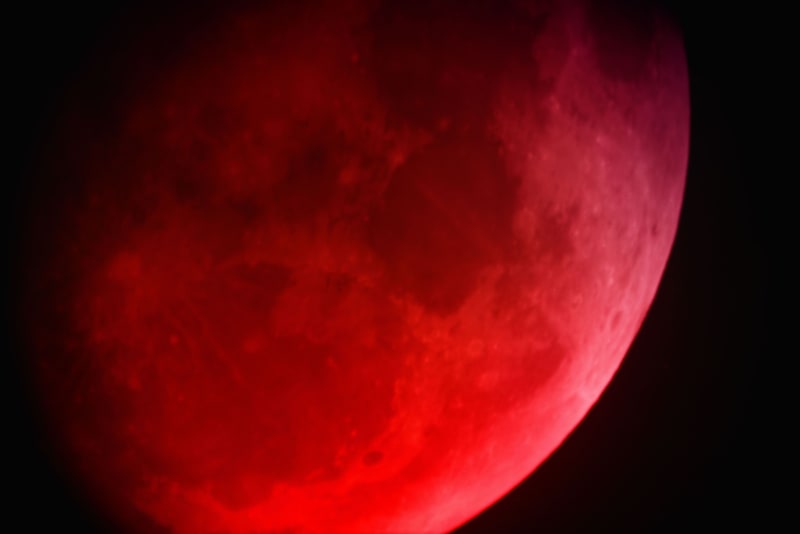 CaeciliaTripp-SharjahProject-BloodMoon-2019-ernah
