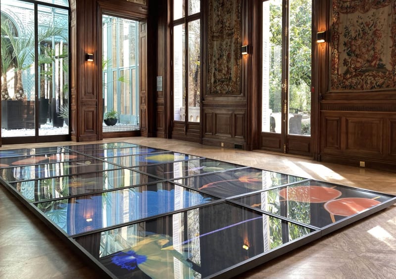 Suzanne Lafont, New Companion Species, 2018-2019 Floor installation of 12 archival pigment print on cotton rag paper, 160 x 106,7 cm (unframed), 165 x 111,5 cm (framed) 330 x 1350 x 12 cm, Unique