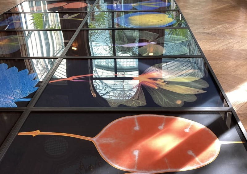 Suzanne Lafont, New Companion Species, 2018-2019 Floor installation of 12 archival pigment print on cotton rag paper, 160 x 106,7 cm (unframed), 165 x 111,5 cm (framed) 330 x 1350 x 12 cm, Unique