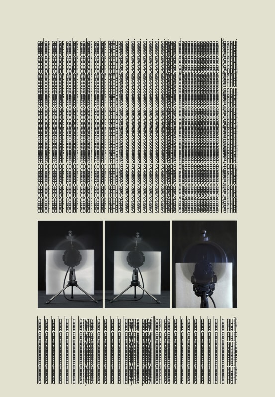 Suzanne Lafont, La cantatrice, 2023 Inkjet print on photorag paper, 170 x 117,5 cm (framed), edition 1/3