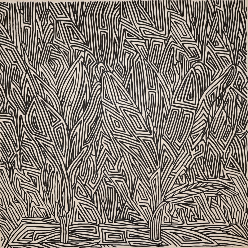 Yassir Al Omari, Plant3, 2024, Acrylic on canvas, 127x127cm